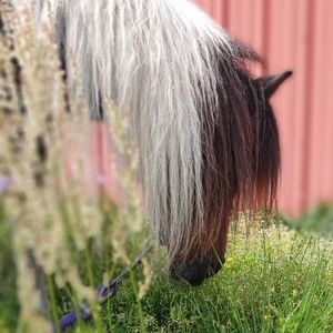 Meet your Posher, Jean